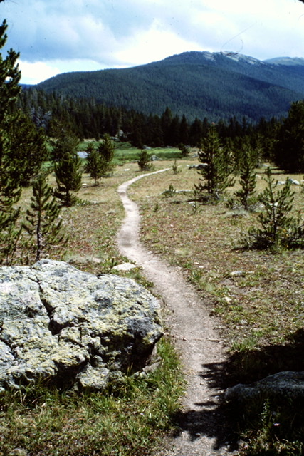 The Cache la Poudre Trail.