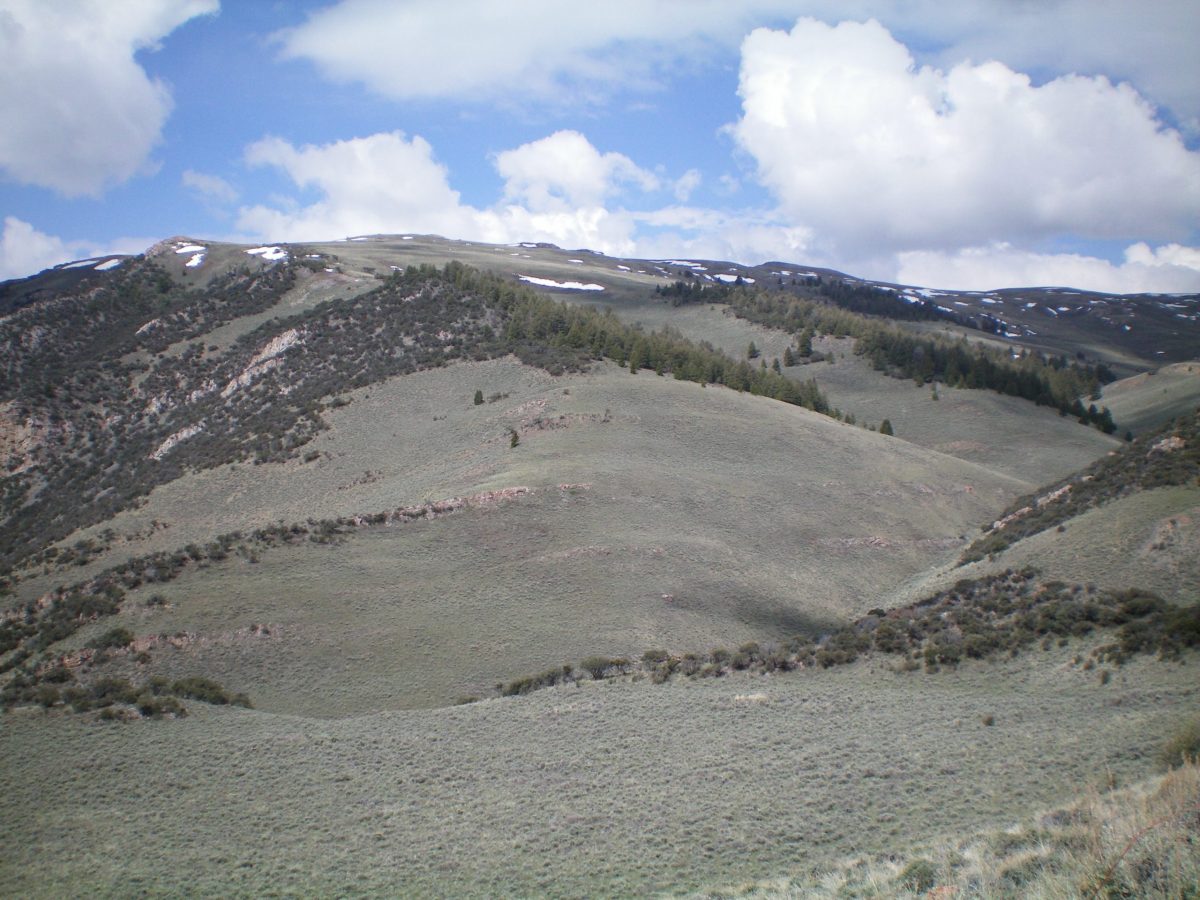  A view of the East Spur and South Ridge of Peak 8923 from the parking spot. The East Spur is dead center and bends left-ish to join the South Ridge. The South Ridge is on the skyline and heads R/N to reach the summit. Avoid the gully to the R of the East Spur as it is on private land. Livingston Douglas Photo