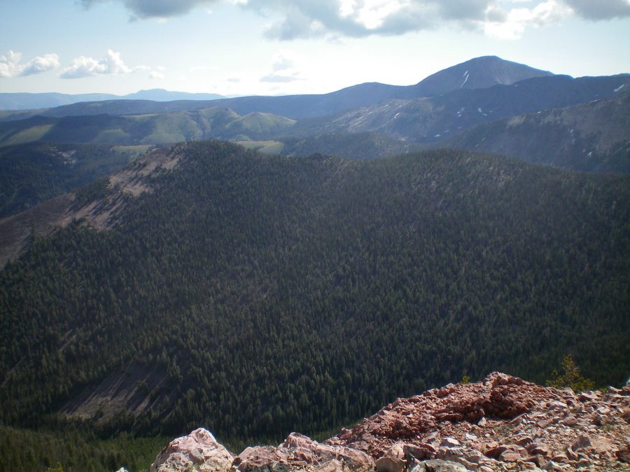 The thickly forested, ridgeline hump that is Peak 9115. The summit is left of center. Point 9097 is right of center. Livingston Douglas Photo 