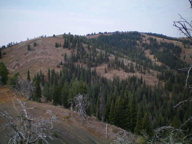 Little Elk Mountain as viewed from the east. The summit is right of center. Livingston Douglas Photo 