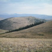 Peak 8980 (center, forested) as viewed from the east. Livingston Douglas Photo