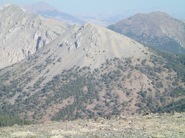 Peak 10077 (center) as viewed from the southeast. Dianes Peak (10,404 feet) is at the far left. Livingston Douglas Photo 