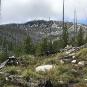 The northern summit of Steamboat viewed from the trail.