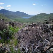 The summit boulders and brush atop Peak 5940. Fish Creek Reservoir is in the distance. Livingston Douglas Photo