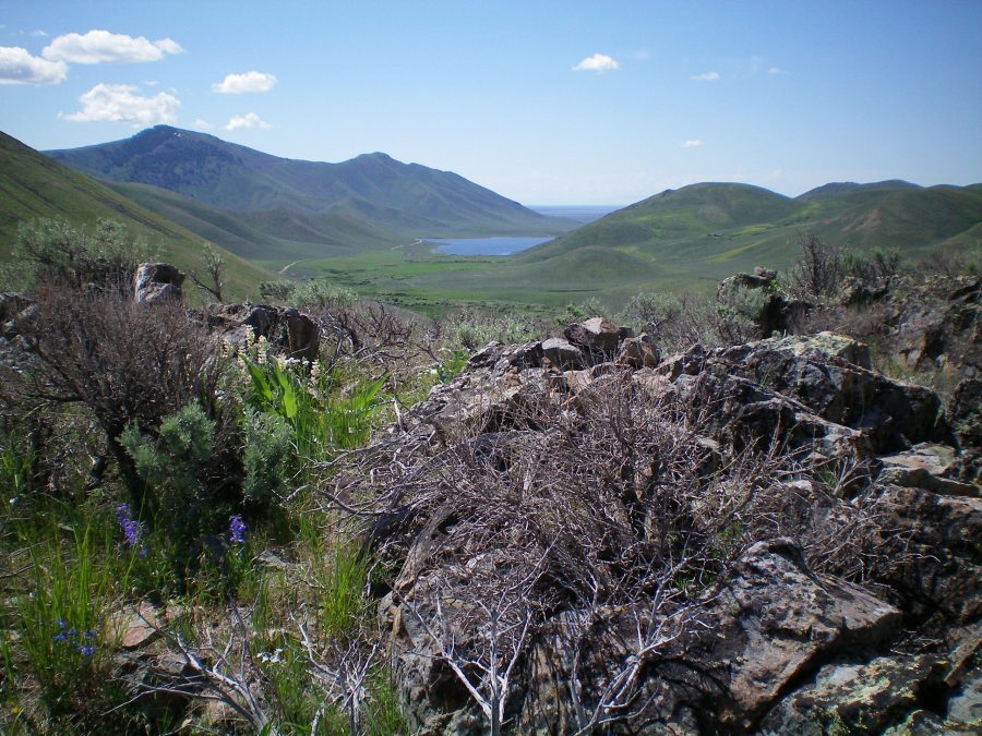 The summit boulders and brush atop Peak 5940. Fish Creek Reservoir is in the distance. Livingston Douglas Photo