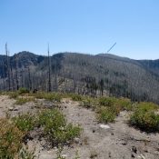 Zena Peak viewed from the west. John Platt Photo