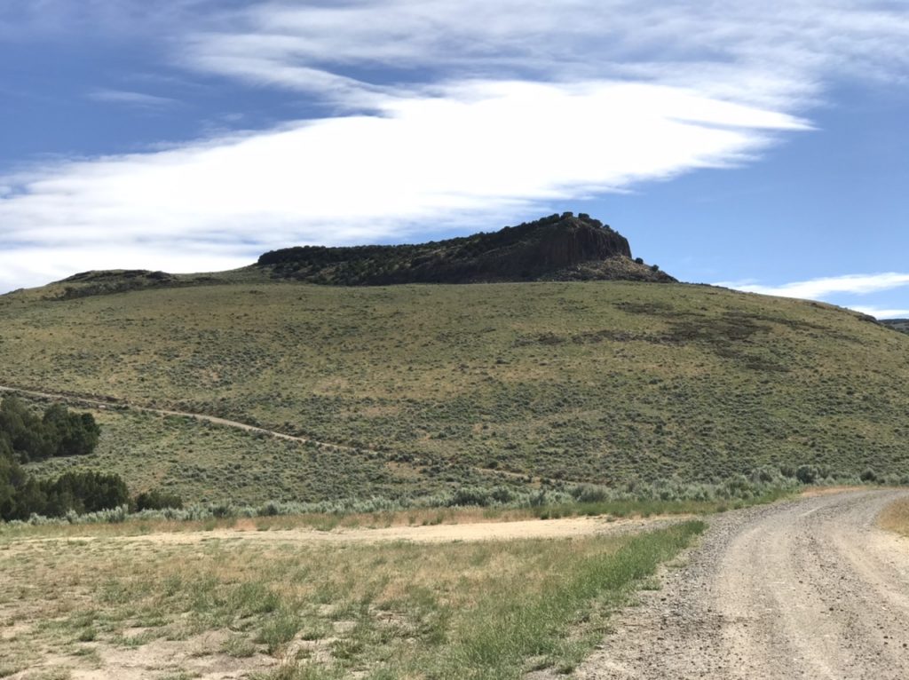 The Cotterel Mountains are almost completely treeless.