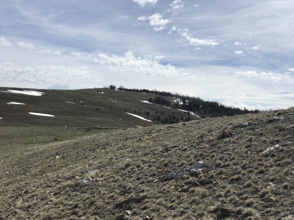 The summit of Donkey Benchmark viewed from the west.