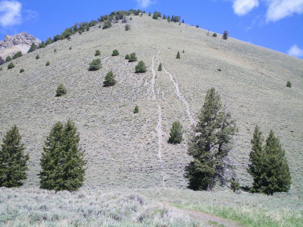 The bottom section of the Southeast Ridge and the illegal MC trail that goes straight up the steep slope. Livingston Douglas Photo