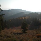 Peak 8038 (forested, left of center in the distance) as viewed from Tincup Mountain to the west. Livingston Douglas Photo