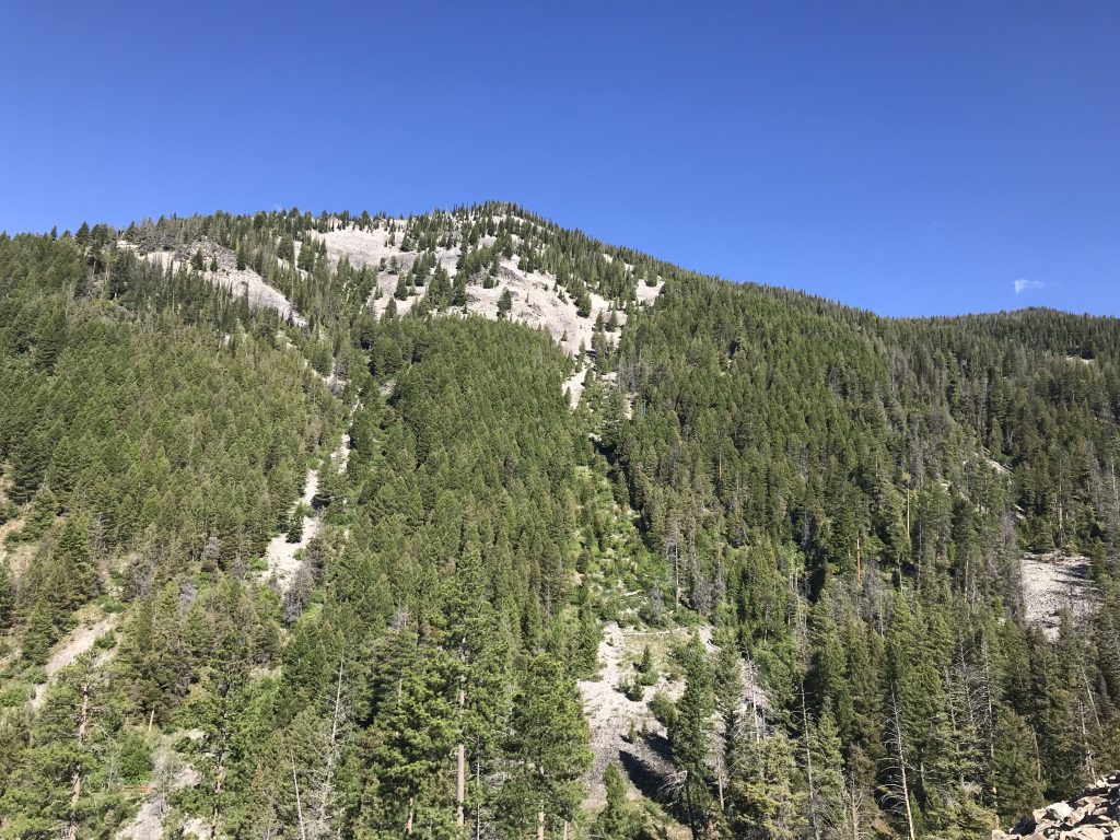 N Mountain viewed from the south.