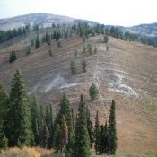 Peak 8300 (center, mid-ground) as viewed from the southwest. Livingston Douglas Photo