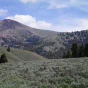 The Knuckle (summit is left of center) and its smooth, easy southeast ridge (the skyline). The approach follows the partially-forested shoulder in mid-ground from lower left to upper right to intersect a north-south ridge that heads left up to the Continental Divide southeast of The Knuckle. Livingston Douglas Photo