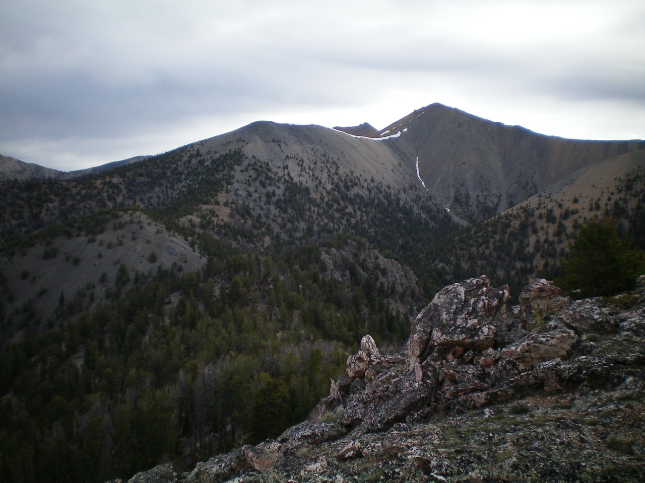 View of the Southwest Ridge of Peak 10681 from the summit of Peak 9634. The summit of Peak 10681 is right of center. The connecting ridge is forested initially and has two humps. Only the second one (bare) is part of the Southwest Ridge Route. The first hump is part of the descent route off Peak 9634. The Southwest Ridge goes L-ish then goes R-ish then joins the West Ridge of Peak 10681 and follows the skyline R to the summit. Livingston Douglas Photo 