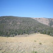 Bear Benchmark as viewed from the east, just above the final saddle (right of center). The summit is left of center and is hidden behind the trees. From the grassy saddle, bushwhack diagonally left to reach the summit ridge and then head west for over 1/2 mile to FINALLY reach the top. Livingston Douglas Photo