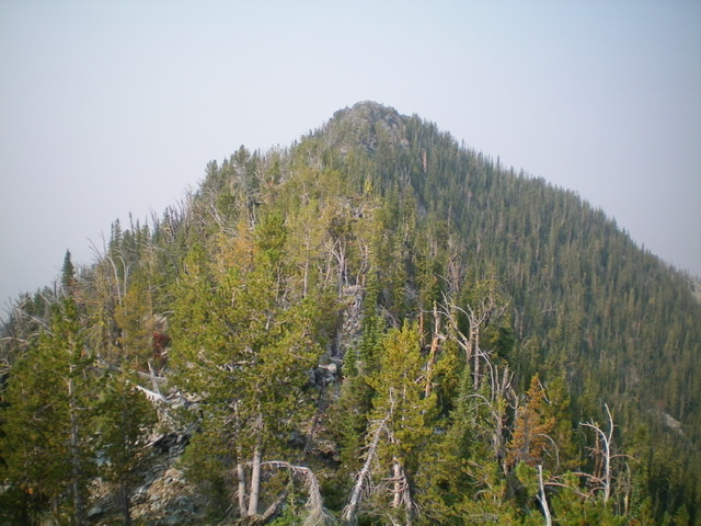 The true/west summit of Peak 9233 as viewed from the [lower] east summit. The mix of rock and trees on this traverse is brutal. Livingston Douglas 