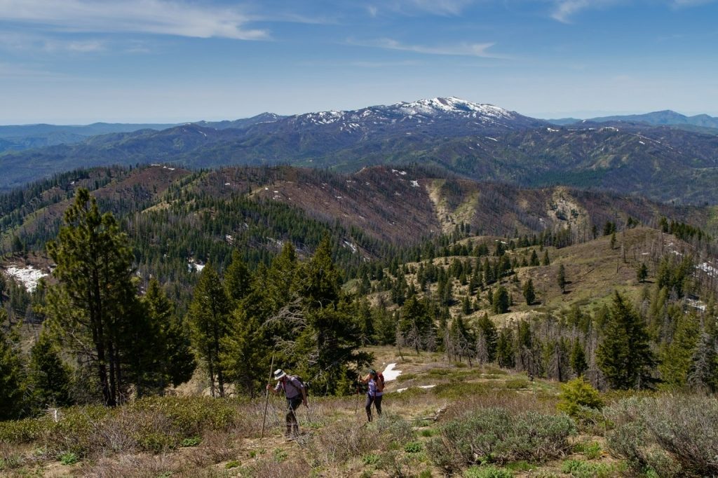 Bushwhacking up the southwest ridge with Granite and House Mountain visible in the distance. Anna Gorin Photo