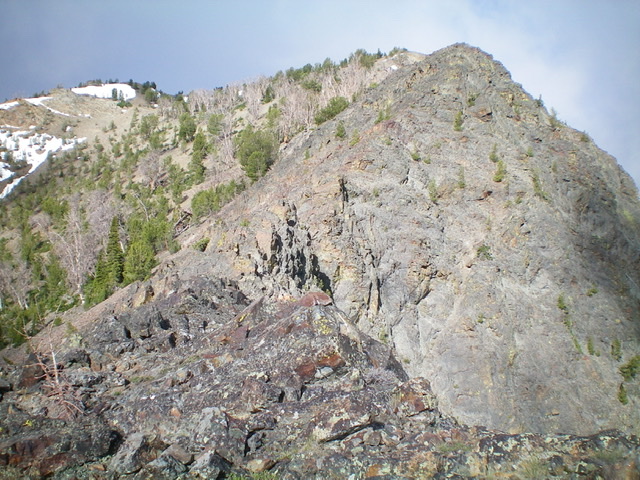 The rugged northeast ridge of Glide Mountain, from the lower left to the upper right hump in the photo. Livingston Douglas Photo 
