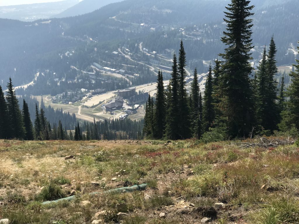 Looking down to the ski resort village.