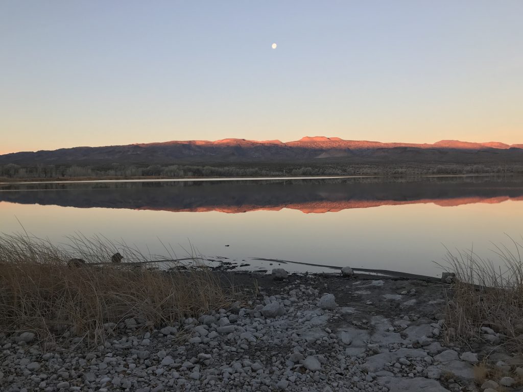 Morning at the refuge.