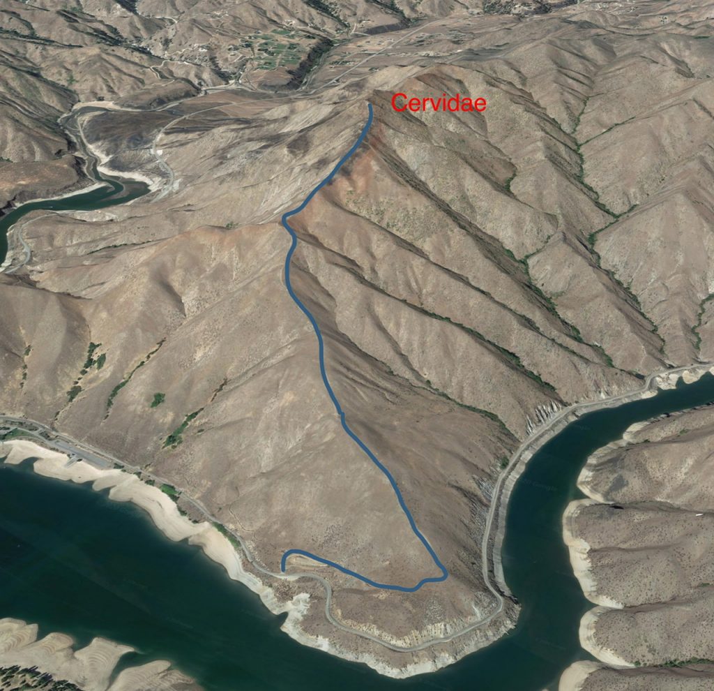 The Southeast Ridge Route is shown on this Google Earth Image.