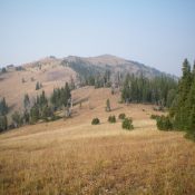 Reas Peak as viewed from the east. The summit is dead-center. Livingston Douglas Photo