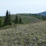 Skyline Peak viewed from the south.