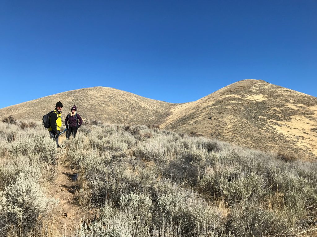 Peak 6852 (left), highpoint 6660 (right). Photo Margo Mandella