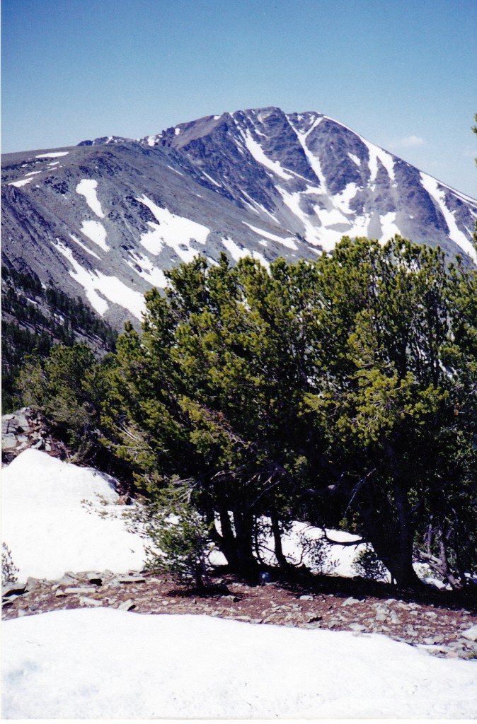 This Rick Baugher Photo is looking southwest to Tendoy Peak. Rick notes "From Basin Lake the approach is a pleasant, trailless hike with stretches of easy scrambling.