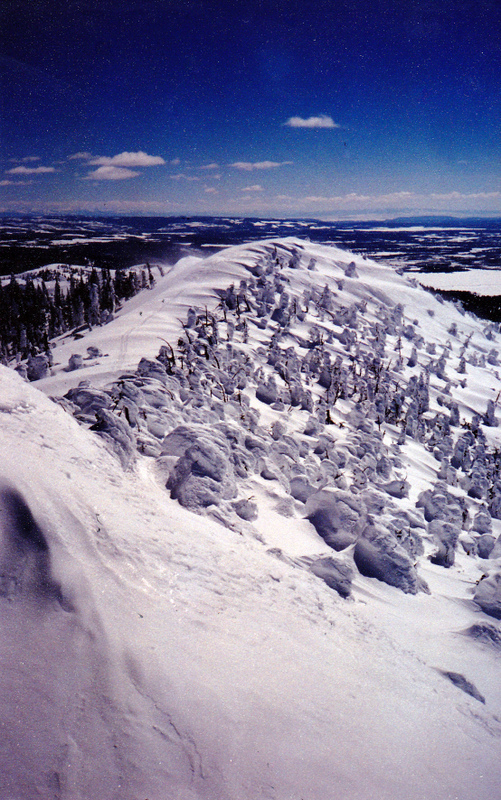 Rick Baugher writes that this peak is "One of Island Park, Idaho's most popular mountains. It is a coveted Winter destination for snowmachiner and skier alike. From the summit, the view is south where the famous snow ghosts of Two Top can be seen." Rick Baugher Photo