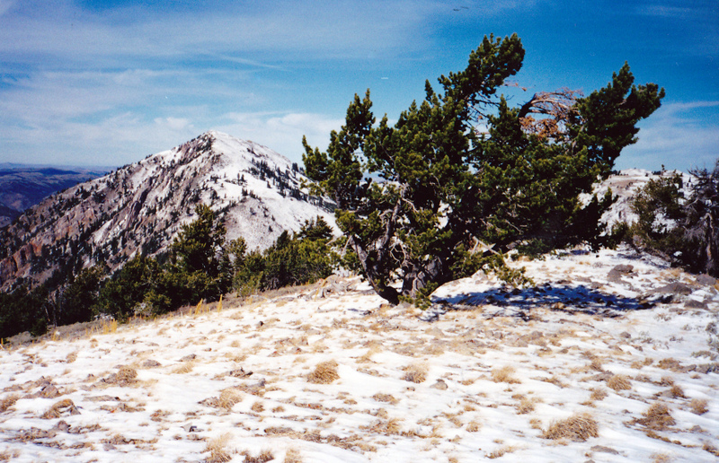 The summit of Mount Mansfield looking toward Meade Peak. Rick Baugher Photo 10-26-2001