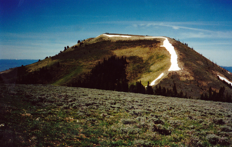 Yet another Idaho peak named Bald Mountain! This one is located in the Pruess Range northeast of Montpelier, Idaho. The view is west from the Home Canyon/Bennington Canyon divide. Rick Baugher Photo 5-30-2001.