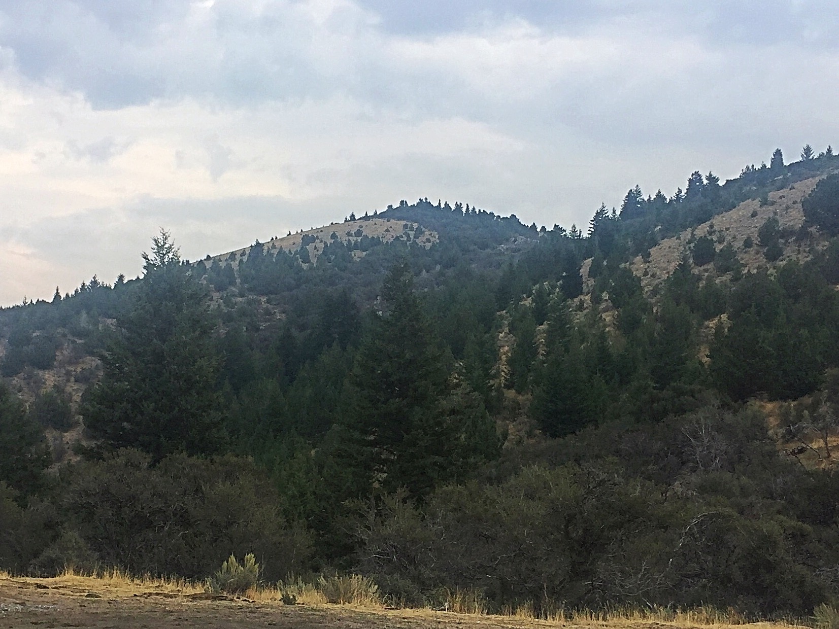 Bald Mountain from the trailhead. 