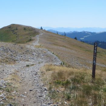 Trailhead for Peak 8692. Steve Mandella photo.