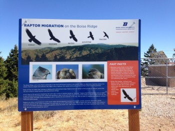 This sign explains why the BSU camp is present. There were bird watchers all around the summit and several trails have been cut through the brush that lead to viewing areas.