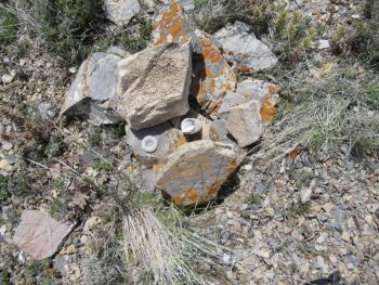 Summit Marker, Peak 6980. Margo Mandella photo.