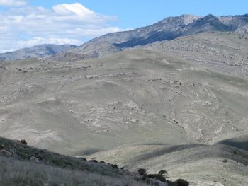 Mellow Peak 6980, foreground. Margo Mandella photo