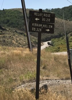 Sign for Relay Ridge Road. Margo Mandella photo.