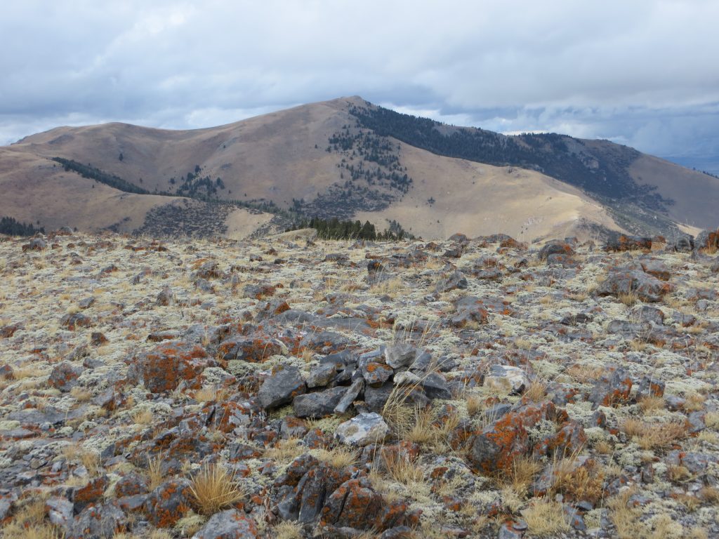 Summit of Peak 8726. Photo Steve Mandella