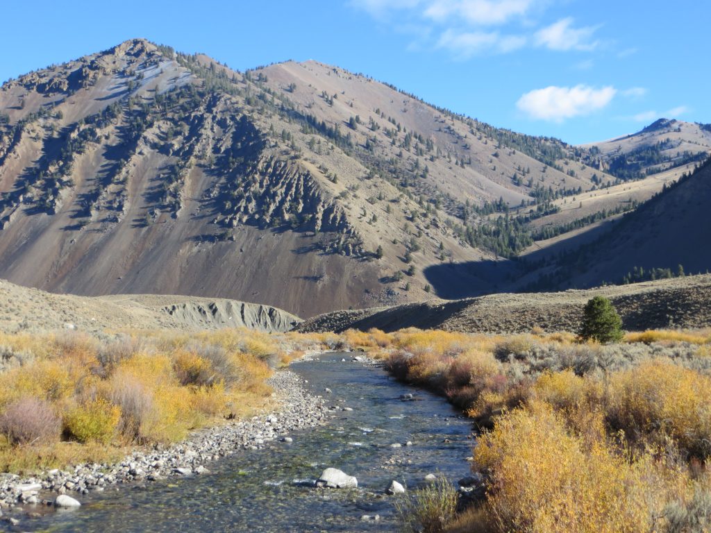 Wildhorse Peak (back) and the tiny white lookout. The East Fork Big Lost River flows peacefully along the valley. Steve Mandella photo. 