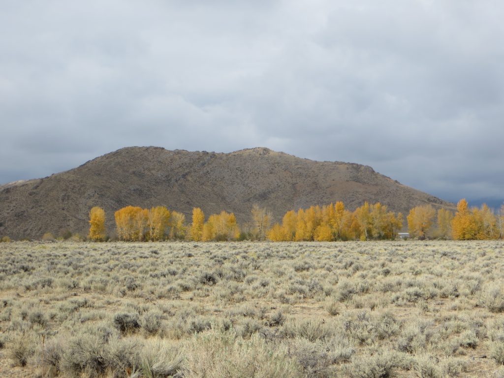 South Chilly Butte - Steve Mandella