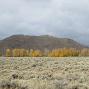 South Chilly Butte - Steve Mandella