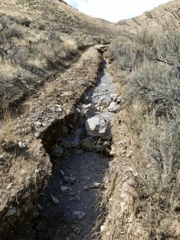 Photo of a road rut on a washed out trail.