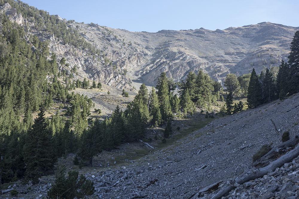 The upper Bowl. Larry Prescott Photo