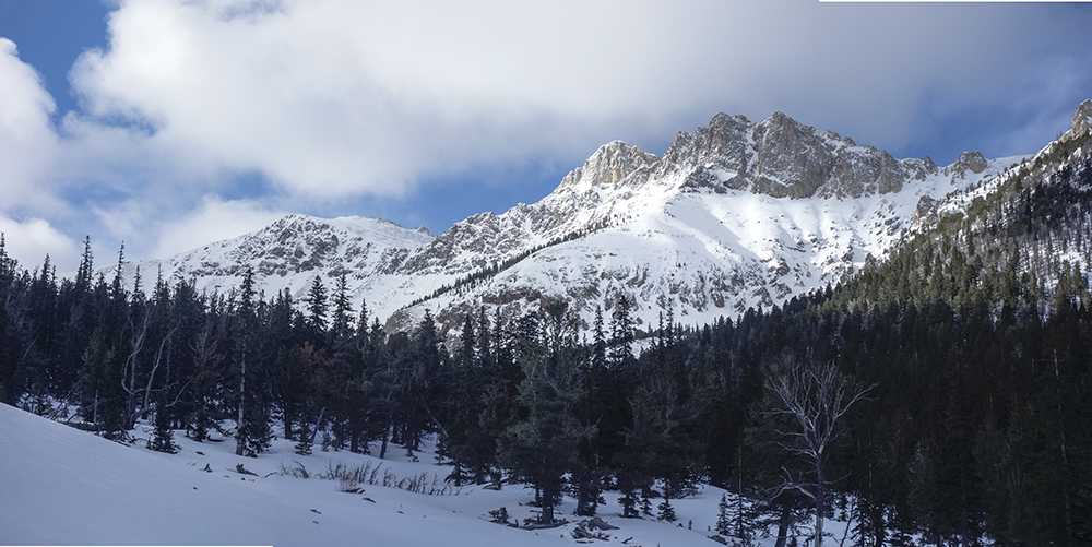 Nicholson Peak from,Bunting Canyon. Larry Prescott Photo 