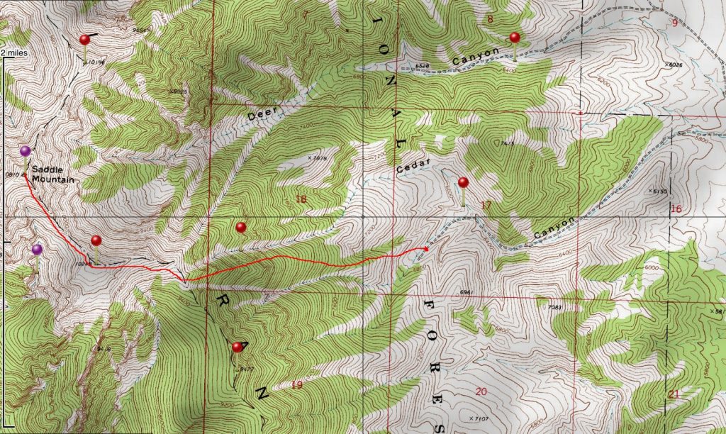 Saddle Mountain route up Cedar Canyon. Larry Prescott Map