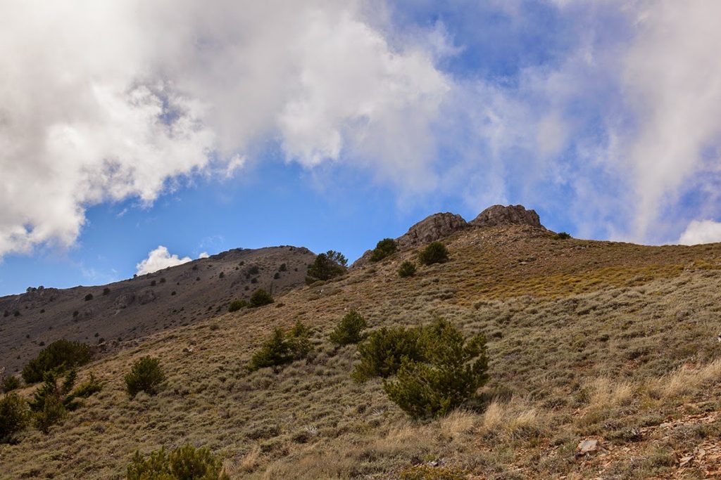 The upper stretches of the Cedar Canyon route above treeline. Larry Prescott Photo