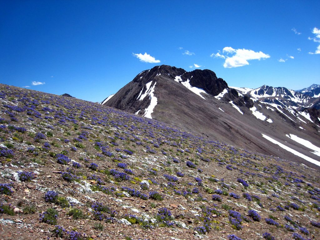 Peak 10680. George Reinier Photo