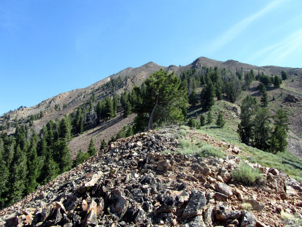 Argosy Peak. George Reinier Photo 