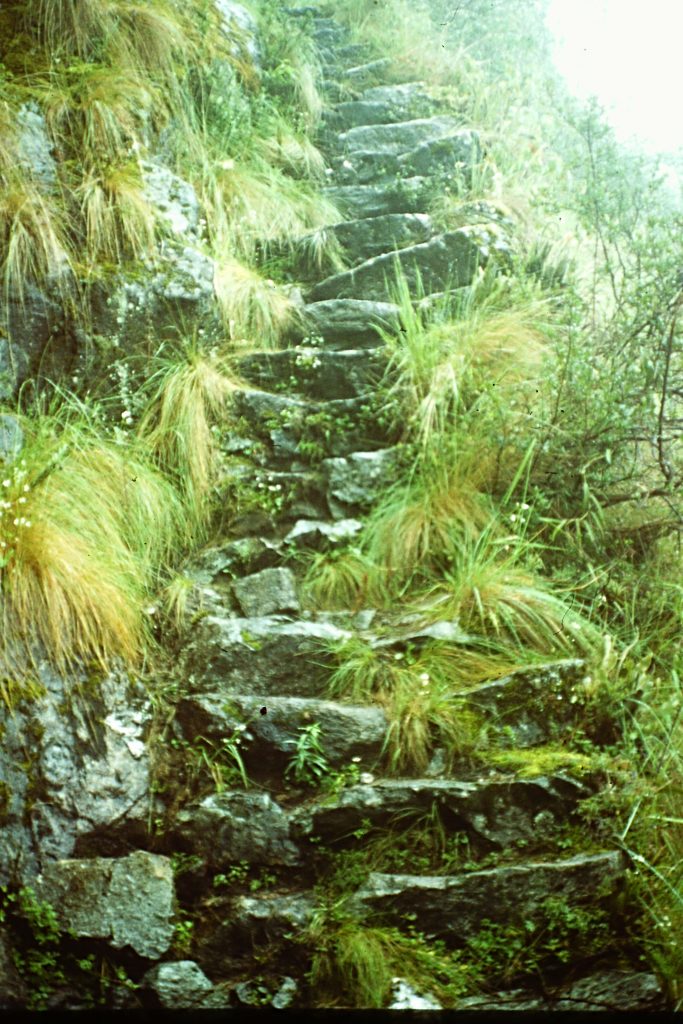 The slippery stairway leading up to Sayajmarca.